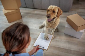 Fristlose Mietvertragskündigung bei fehlender Genehmigung der Hundehaltung
