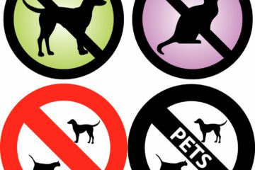 WEG-Beschluss – Wirksamkeit der Tierhaltungsuntersagung