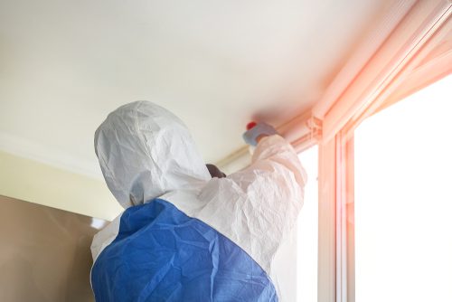 Mietminderung wegen Schadstoffbelastung - Rechtsirrtum des Mieters über Minderungsrecht