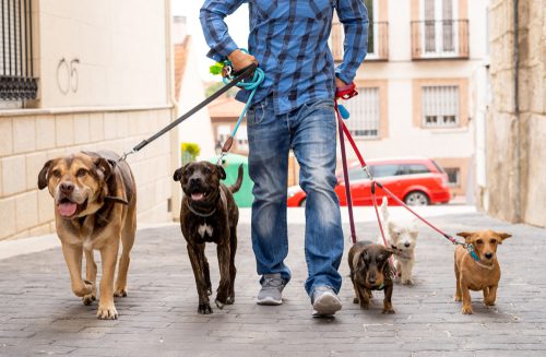 Wohnungseigentumsanlage - Leinenzwang für Hunde zulässig?
