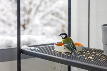 Mietrechtlicher Unterlassungsanspruch gegen das Füttern von Vögeln auf dem Balkon