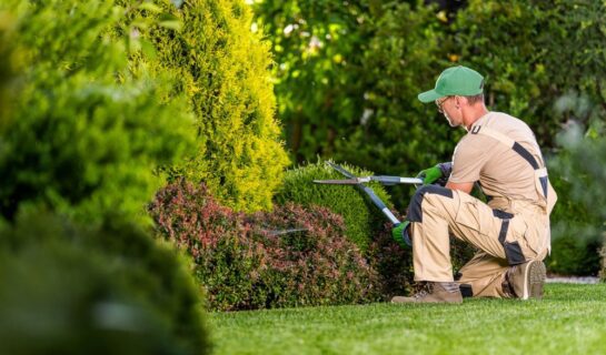Streit um Gartenpflege – Klausel im Mietvertrag auf dem Prüfstand